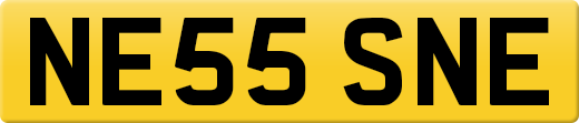 NE55SNE